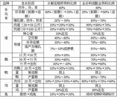 金鼓魚不同階段飼料選擇指南：金鼓魚不同階段的飼料選擇指南 非洲金鼓魚 第1張