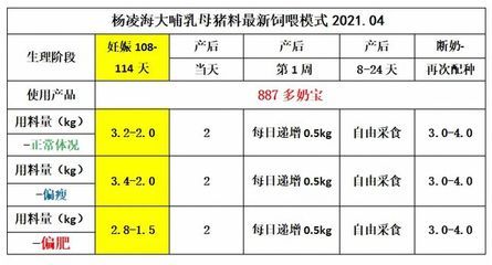 金鼓魚不同階段飼料選擇指南：金鼓魚不同階段的飼料選擇指南 非洲金鼓魚 第3張