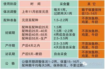 金鼓魚不同階段飼料選擇指南：金鼓魚不同階段的飼料選擇指南 非洲金鼓魚 第5張