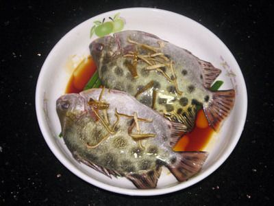 金鼓魚活餌與死餌的選擇：養(yǎng)殖金鼓魚餌料選擇 非洲金鼓魚 第1張