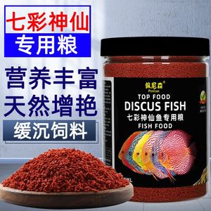 埃及神仙魚飼料搭配比例：埃及品神仙魚飼料搭配比例 埃及神仙魚 第4張