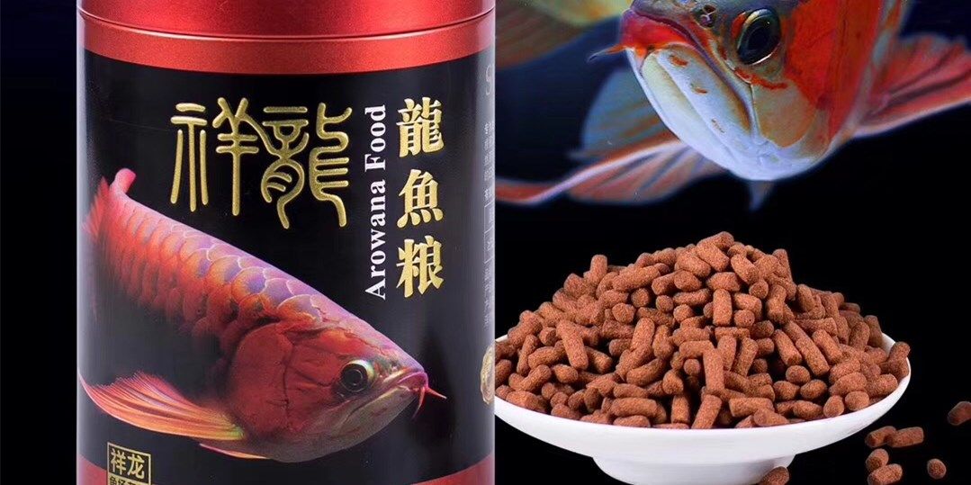 紅龍魚增色秘籍，祥龍魚場紅龍魚專用飼料：祥龍魚場紅龍魚專用飼料