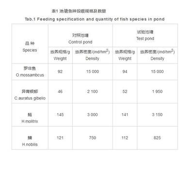 龍魚時不時的張大嘴：龍魚為什么偶爾會張大它的嘴？ 水族問答 第2張