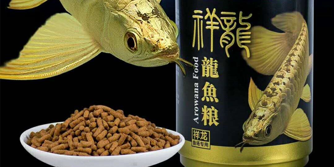 祥龍魚場(chǎng)金龍魚專用魚糧：祥龍金龍魚專用魚糧 金龍魚