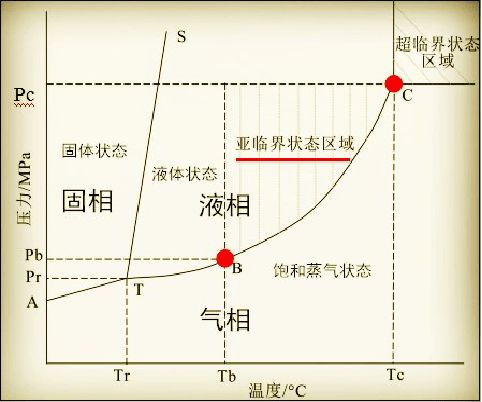 龍魚食物有哪些名字：龍魚在人工養(yǎng)殖環(huán)境中，應(yīng)如何選擇適宜的飼料？ 水族問(wèn)答 第2張