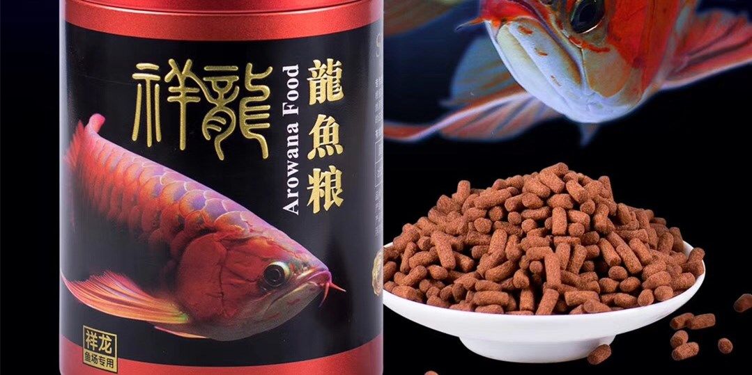 祥龍紅龍魚糧-龍魚飼料：祥龍紅龍魚糧龍魚飼料 混養(yǎng)魚（配魚）