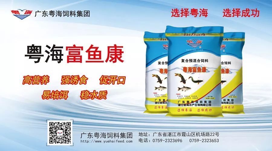 龍魚(yú)是海鮮還是河鮮：龍魚(yú)是海鮮而不是河鮮嗎？ 水族問(wèn)答 第1張