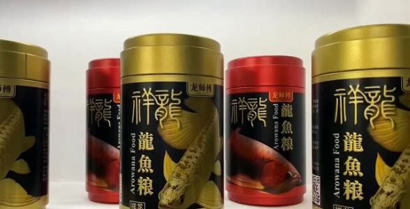 龍魚專用飼料：祥龍魚場紅龍魚專用增色飼料：祥龍魚場紅龍魚專用增色飼料