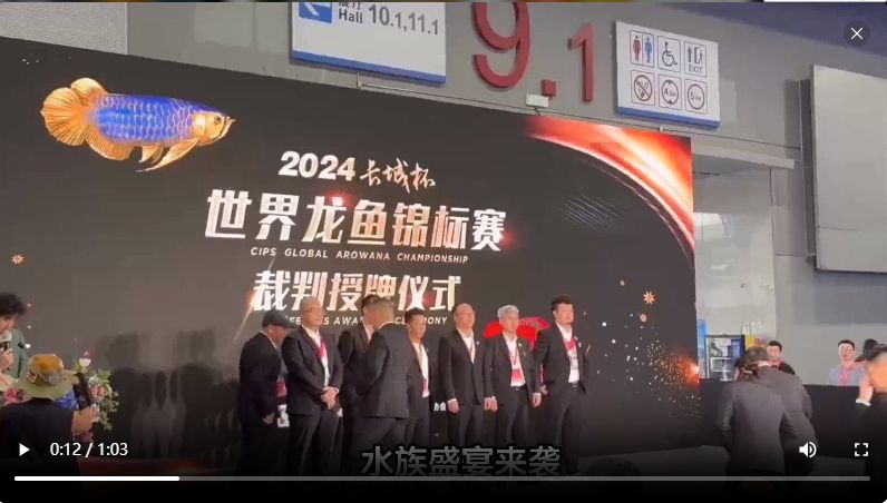 2024“長(zhǎng)城杯”龍魚錦標(biāo)賽冠軍魚只：2024“長(zhǎng)城杯”龍魚錦標(biāo)賽冠軍魚 混養(yǎng)魚（配魚）