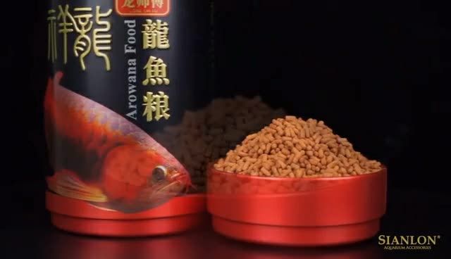 紅龍魚(yú)魚(yú)糧飼料批發(fā) 混養(yǎng)魚(yú)（配魚(yú)）