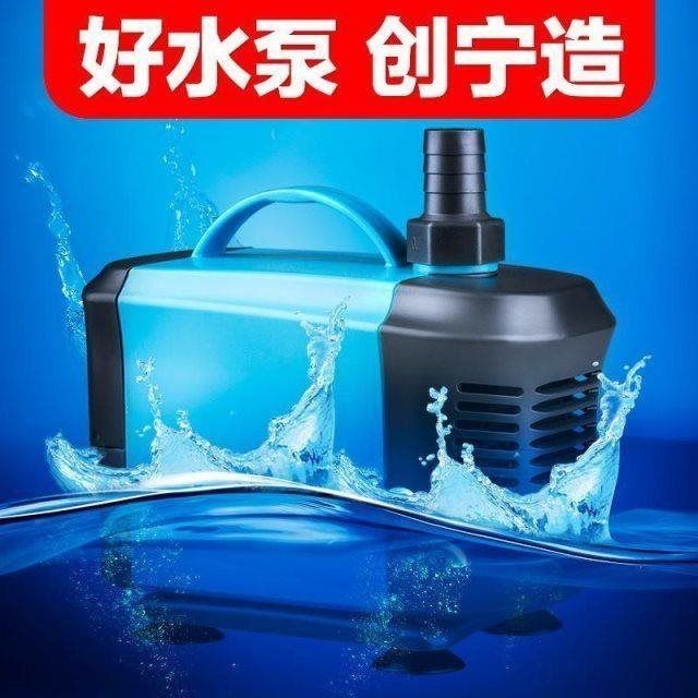 龍魚屬于風(fēng)水魚嗎：龍魚在風(fēng)水中有何象征意義？ 水族問答 第1張