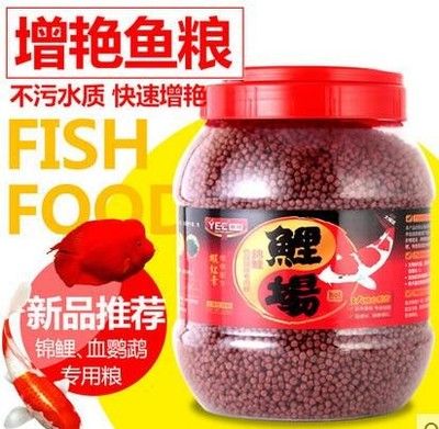 意牌魚飼料適用魚種介紹：意牌魚飼料增色效果如何 白化巴西龜（白巴） 第4張