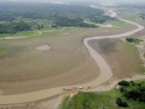 亞馬遜河魚類遷徙模式研究：亞馬遜河魚類在季節(jié)性遷徙中展現(xiàn)了獨(dú)特的生態(tài)適應(yīng)策略 巴西亞魚苗 第1張