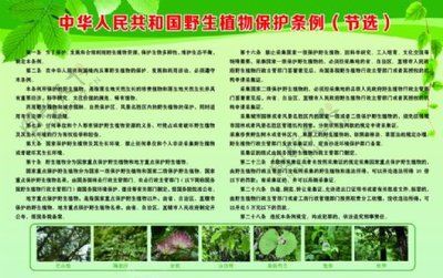 湖南省野生動(dòng)植物保護(hù)條例解讀：關(guān)于湖南省野生動(dòng)植物資源保護(hù)條例的解讀 其他寵物 第1張