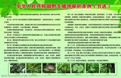 湖南省野生動(dòng)植物保護(hù)條例解讀：關(guān)于湖南省野生動(dòng)植物資源保護(hù)條例的解讀 其他寵物 第4張