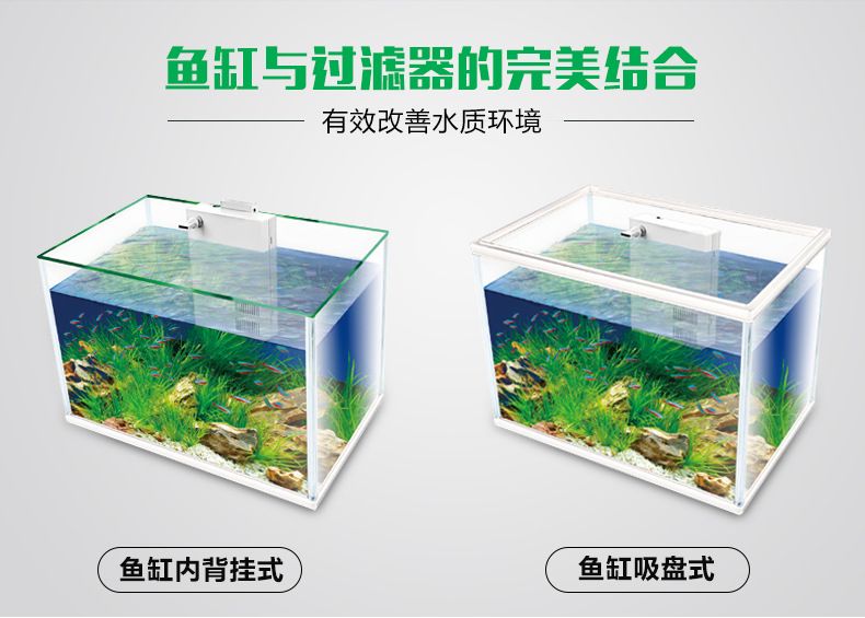 水族箱水質(zhì)監(jiān)控設(shè)備選擇：水族箱水質(zhì)監(jiān)控設(shè)備價(jià)格對(duì)比水族箱水質(zhì)監(jiān)控設(shè)備價(jià)格對(duì)比 其他寵物 第5張