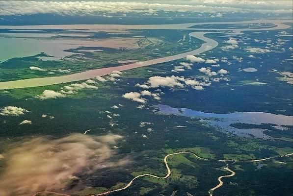 亞馬遜河流域生物多樣性現(xiàn)狀：亞馬遜河流域的生物多樣性是實(shí)現(xiàn)全球可持續(xù)發(fā)展的關(guān)鍵 巴西亞魚苗 第3張