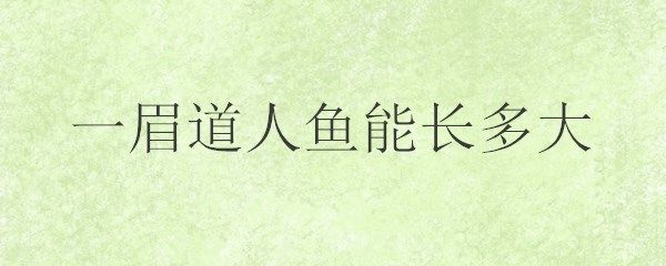 如何選擇適合一眉道人魚苗的飼料：一眉道人魚苗的飼料選擇對于其健康成長至關(guān)重要 其他寵物 第4張