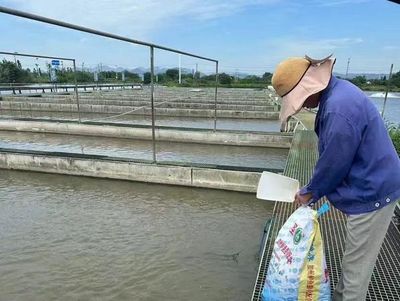 鴨嘴魚養(yǎng)殖水質(zhì)管理：鴨嘴魚養(yǎng)殖中的水質(zhì)管理技術(shù) 其他寵物 第4張