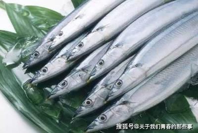 如何挑選新鮮刀魚：秋刀魚保存方法指南,秋刀魚營(yíng)養(yǎng)價(jià)值介紹