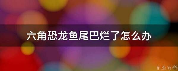 六角恐龍魚尾巴爛了怎么辦：六角恐龍魚尾巴爛了可能是由多種原因引起的，六角恐龍魚恢復(fù)健康 其他寵物 第5張