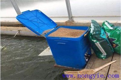 金三間魚飼料用戶評價匯總：金三間魚飼料用戶評價 其他寵物 第4張