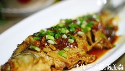 海鰱魚與其他魚類脂肪含量比較：海鰱魚與其他魚類的脂肪含量對(duì)比 其他寵物 第2張