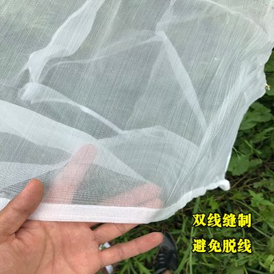 雙線側(cè)魚苗種選擇技巧：雙線側(cè)魚苗種選擇技巧雙線側(cè)魚苗喂養(yǎng)技巧 其他寵物 第5張