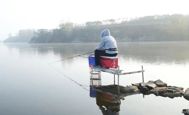 混養(yǎng)魚飼料選擇注意事項：混養(yǎng)魚飼料的選擇 其他寵物 第1張