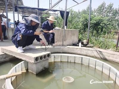 繁殖池水質(zhì)監(jiān)測技術(shù)：水產(chǎn)養(yǎng)殖水質(zhì)監(jiān)測系統(tǒng) 其他寵物 第1張