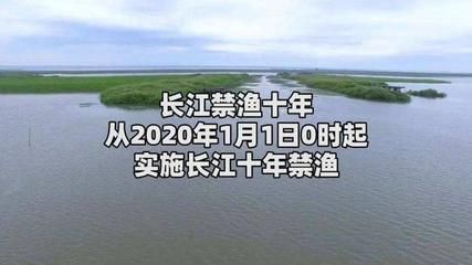 長江生態(tài)恢復(fù)的具體措施：長江生態(tài)恢復(fù)是一個(gè)復(fù)雜的系統(tǒng)工程實(shí)現(xiàn)生態(tài)系統(tǒng)的可持續(xù)性和穩(wěn)定性 其他寵物 第5張