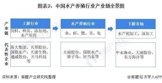 魚苗飼料添加劑的選擇標(biāo)準(zhǔn)：選擇魚苗飼料添加劑時(shí)需要綜合考慮其營(yíng)養(yǎng)性、安全性 其他寵物 第1張