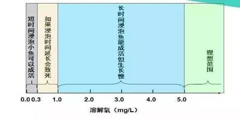 魚苗最佳溶解氧濃度范圍：魚苗最佳溶解氧濃度范圍應(yīng)在5毫克/升至8毫克/升 其他寵物 第6張