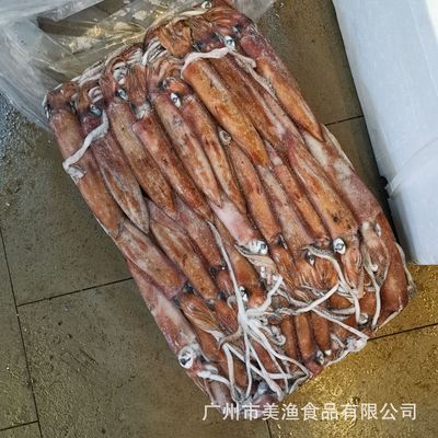 印尼魷魚出口量對中國影響：分析印尼魷魚出口量變化對中國的影響 其他寵物 第5張