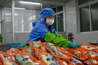 酥皮類食品真空包裝技巧：家庭自制酥皮食品 其他寵物 第2張