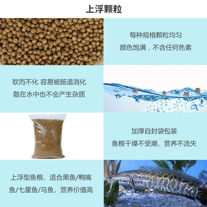 鴨嘴魚飼料中色素添加的危害：觀賞魚飼料色素添加的危害 其他寵物 第5張