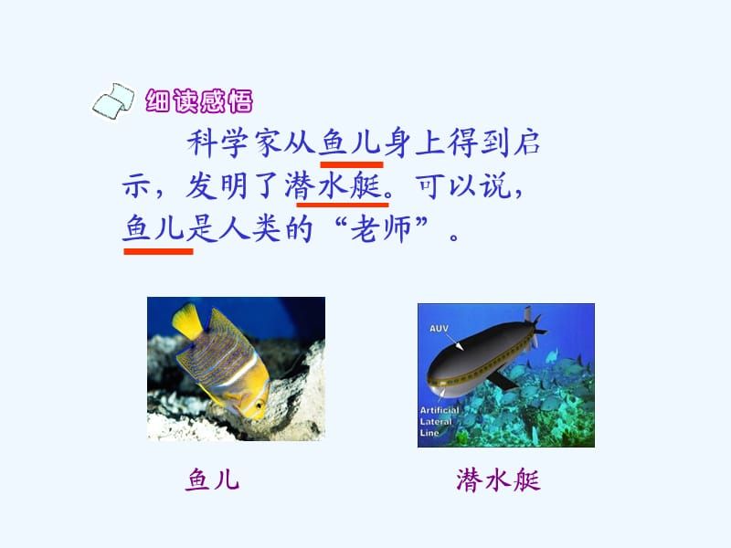 如何預(yù)防潛水艇魚疾?。簼撍~疾病早期癥狀識別，潛水艇魚免疫力提升方法 其他寵物 第1張