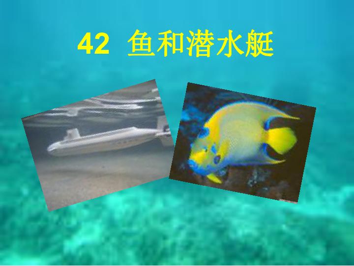 如何預(yù)防潛水艇魚疾病：潛水艇魚疾病早期癥狀識別，潛水艇魚免疫力提升方法 其他寵物 第5張