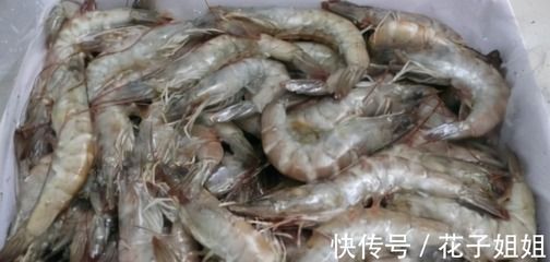 冷凍活食保存技巧：冷凍活食保存技巧摘要如下：冷凍活食保存技巧摘要如下 其他寵物 第5張