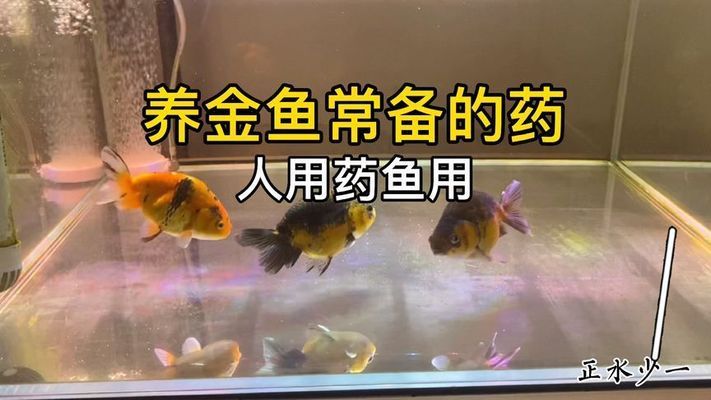 水族論壇購(gòu)買藥物評(píng)價(jià)：cmaos水族藥劑受到了廣泛的好評(píng) 其他寵物 第1張