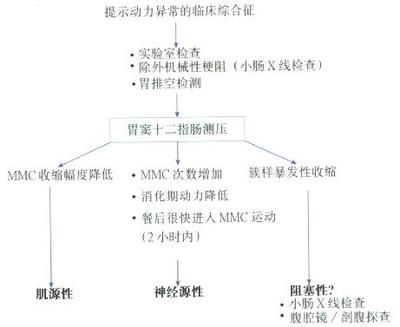 十二指腸液檢查的操作流程：十二指腸檢查的操作流程 其他寵物 第2張