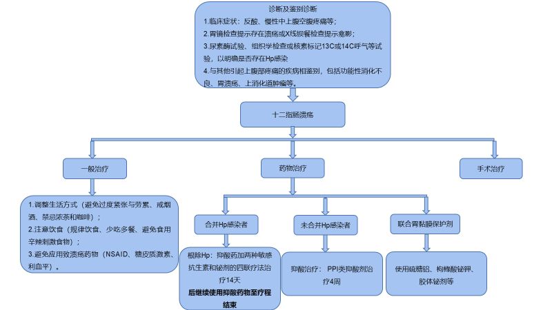 十二指腸液檢查的操作流程：十二指腸檢查的操作流程 其他寵物 第1張