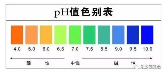 pH試紙與pH計(jì)的優(yōu)缺點(diǎn)對(duì)比：ph試紙與ph計(jì)各有優(yōu)缺點(diǎn) 其他寵物 第1張