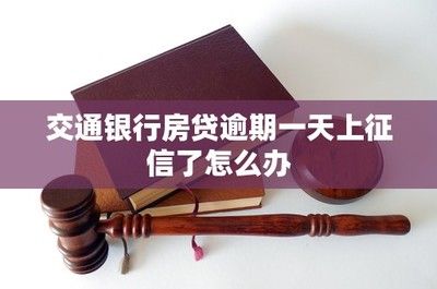 如何提升個人信用評分：信用報告錯誤處理流程,信用卡全額還款技巧 其他寵物 第1張