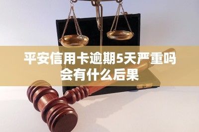 如何提升個人信用評分：信用報告錯誤處理流程,信用卡全額還款技巧 其他寵物 第4張