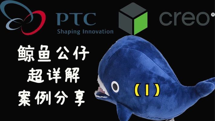 寶石魚玩具設計創(chuàng)意：寶石魚玩具diy教程：寶石魚玩具diy教程 其他寵物 第4張