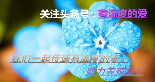 土霉素拌料使用的技術要點：土霉素拌料的保存方法, 其他寵物