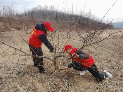 龍魚突然不愛動了什么原因引起的：龍魚突然不愛動是怎么回事？ 水族問答 第2張