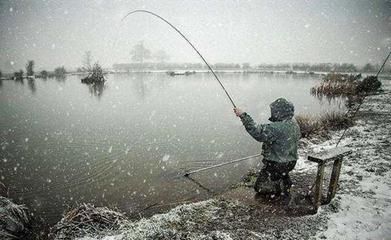 雪天釣鯽魚最佳時段：雪天釣鯽魚的最佳時段主要集中在以下幾個方面 其他寵物 第4張