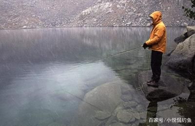 雪天釣鯽魚最佳時段：雪天釣鯽魚的最佳時段主要集中在以下幾個方面 其他寵物 第6張